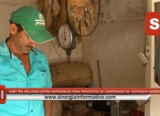 $487 MIL MILLONES ESTÁN DISPONIBLES PARA PROYECTOS DE CAMPESINOS DE “ANTIOQUIA SIEMBRA”