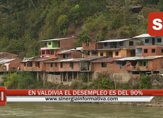EN VALDIVIA EL DESEMPLEO ES DEL 90%