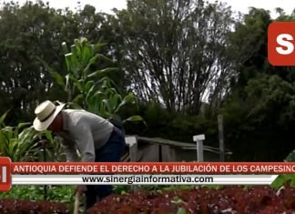 ANTIOQUIA DEFIENDE EL DERECHO A LA JUBILACIÓN DE LOS CAMPESINOS