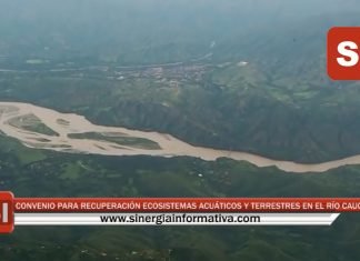 CONVENIO PARA RECUPERACIÓN DE LOS ECOSISTEMAS ACUÁTICOS Y TERRESTRES EN EL RÍO CAUCA