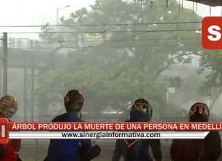 ÁRBOL PRODUJO LA MUERTE DE UNA PERSONA EN MEDELLÍN