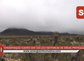 CORANTIOQUIA CUENTA CON 330.233 HECTÁREAS DE ÁREAS PROTEGIDAS