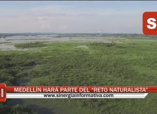 MEDELLÍN HARÁ PARTE DEL “RETO NATURALISTA”