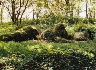 ANTIOQUIA PROCLAMARÁ LOS DERECHOS DE LA TIERRA COMO SER VIVO