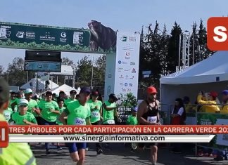 TRES ÁRBOLES POR CADA PARTICIPACIÓN EN LA CARRERA VERDE 2019