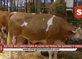 $2.000 MILLONES PARA PLAZAS DE FERIA DE NARIÑO Y URRAO