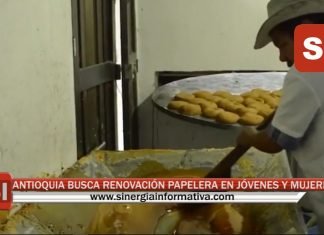 ANTIOQUIA BUSCA RENOVACIÓN PANELERA EN JÓVENES Y MUJERES