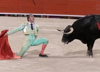 PROHIBIDO LASTIMAR Y MATAR TOROS