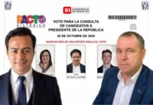 Sendas acciones jurídicas ante el Consejo de Estado y el Consejo Nacional Electoral cuestionan la consulta presidencial del 8 marzo