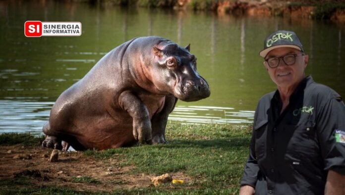 Ernesto Zazueta. Hipopótamos - Sinergia Informativa Abril 2026
