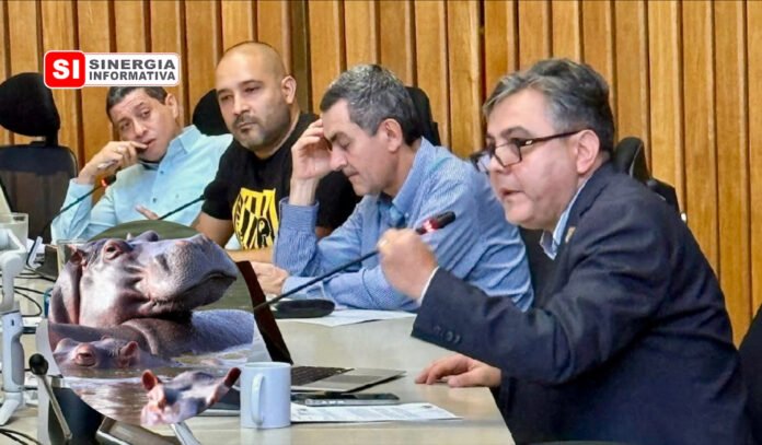 Asamblea Departamental. Hipopótamos - Sinergia Informativa Abril 2026