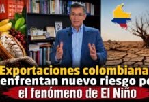 Exportaciones colombianas enfrentan nuevo riesgo por el fenómeno de El Niño