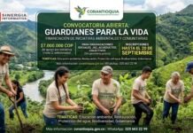 Corantioquia tiene abierta la convocatoria «Guardianes para la Vida» con la que financiará iniciativas ambientales y comunitarias en su jurisdicción