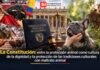La Constitución: entre la protección animal como cultura de la dignidad y la protección de las tradiciones culturales con maltrato animal