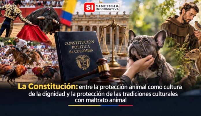 La Constitución: Entre la protección animal como cultura de la dignidad y la protección de las tradiciones culturales con maltrato animal - Sinergia Informativa Octubre 2026 (ChatGPT)