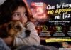 “Que tu fuego no apague mi luz”: Envigado refuerza su campaña para prevenir el uso de pólvora